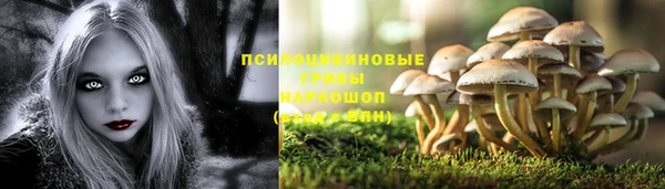 СК Абаза