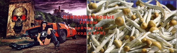 прущая мука Абдулино