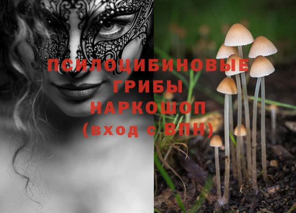 spice Ростов